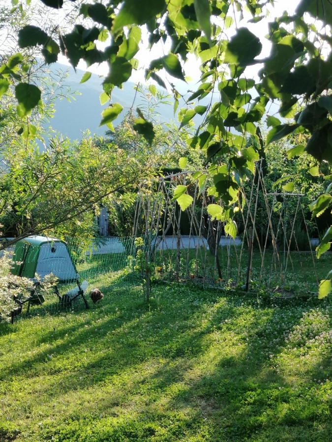 Chambre D'Hotes Chevrefeuille 莫利 外观 照片